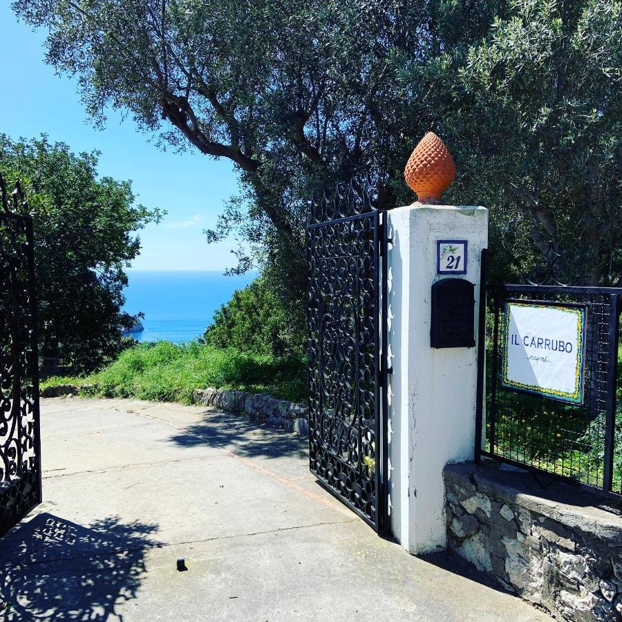 منزل الضيف أناكابْري  في Il Carrubo Capri المظهر الخارجي الصورة