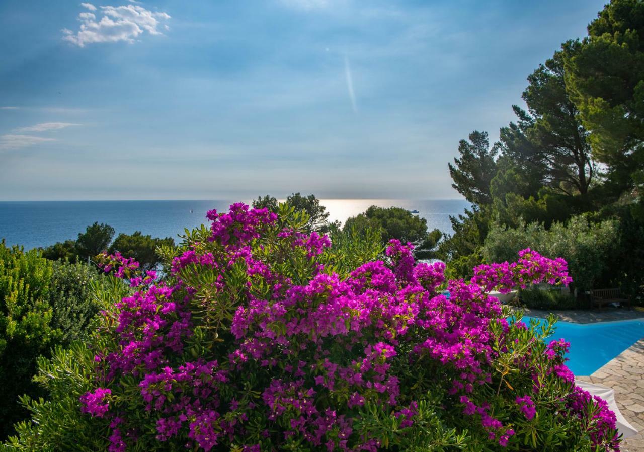 منزل الضيف أناكابْري  في Il Carrubo Capri المظهر الخارجي الصورة