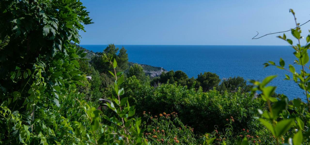 منزل الضيف أناكابْري  في Il Carrubo Capri المظهر الخارجي الصورة